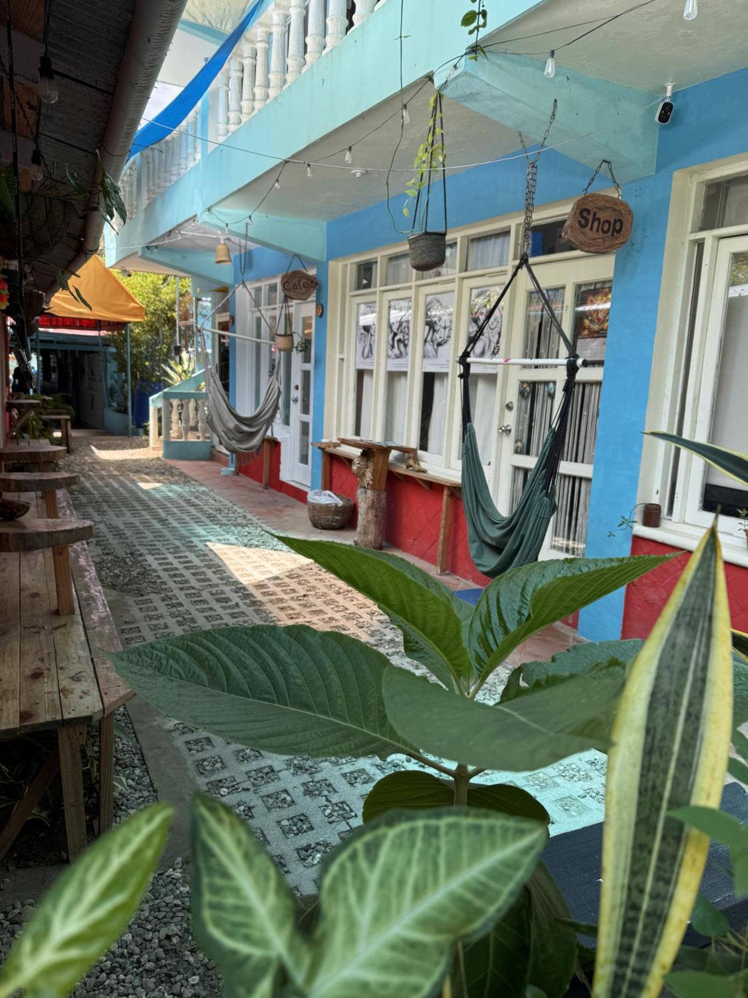 Wing Camp Hostel Кабарете Екстериор снимка